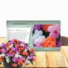 Outsidepride Xtreme Pastel Mix Impatiens Flower Seeds - 75 Pcs