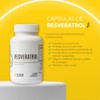 Resveratrol | Suplemento Antioxidante de Extracto de Semilla de Uva