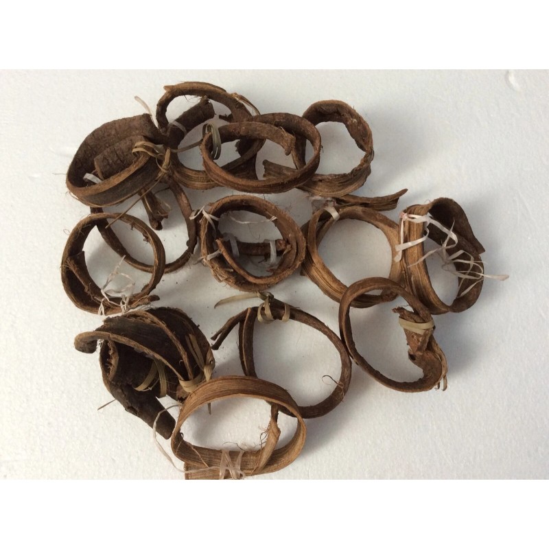 Nature & Traditions Natural Moroccan Siwak Walnut Tree Bark Traditional