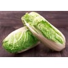 NIKA SEEDS - Seeds Vegetable Napa Cabbage Chinese Green -