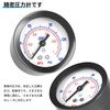 TAILONZ PNEUMATIC PNEUMATIC AIR PRESSURE 5-IN-1/4" BSP AR2000 MINI PRESSURE