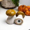 Mushroom Salt & Pepper Shakers Ceramic Hand Painted Toadstool Autumn