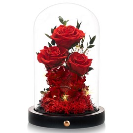Agrul Agrul Flowers Roses Gifts for Her Preserved Roses in Glass Dome Forever Real Roses for Wife Girlfriend,Gifts Women Mom Best Friend Grandma,Red Roses Gifts for Her.