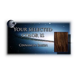 Shari Large by Envy Wigs, Color Chosen: Cinnamon Raisin