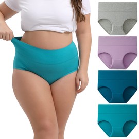 INNERSY Women's Plus Size XL-5XL Cotton Underwear High Waisted Briefs Panties 4-Pack(Mint Sky,5X-Large)