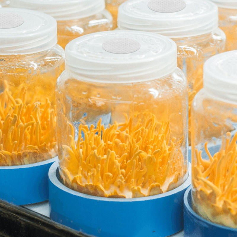 NIDHFG 3 White Round Filter Diaphragm, Waterproof And Breathable, Dust-Proof