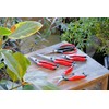 Takagi Sunflower Factory x TAKAGI Leaf Cutting Shears, 8.9 inches
