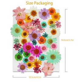 Dried Pressed Flowers for Resin, Real Flowers Dry Leaves Bulk Natural Herbs Kit for Scrapbooking DIY Art Crafts, Epoxy Resin Jewelry Molds, Candle, Soap Making, Nails Décor (Flower, 125 Pcs)