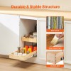 2-Tier Pull-Out Cabinet Organizer Soft Close Slide Out Wood Drawer
