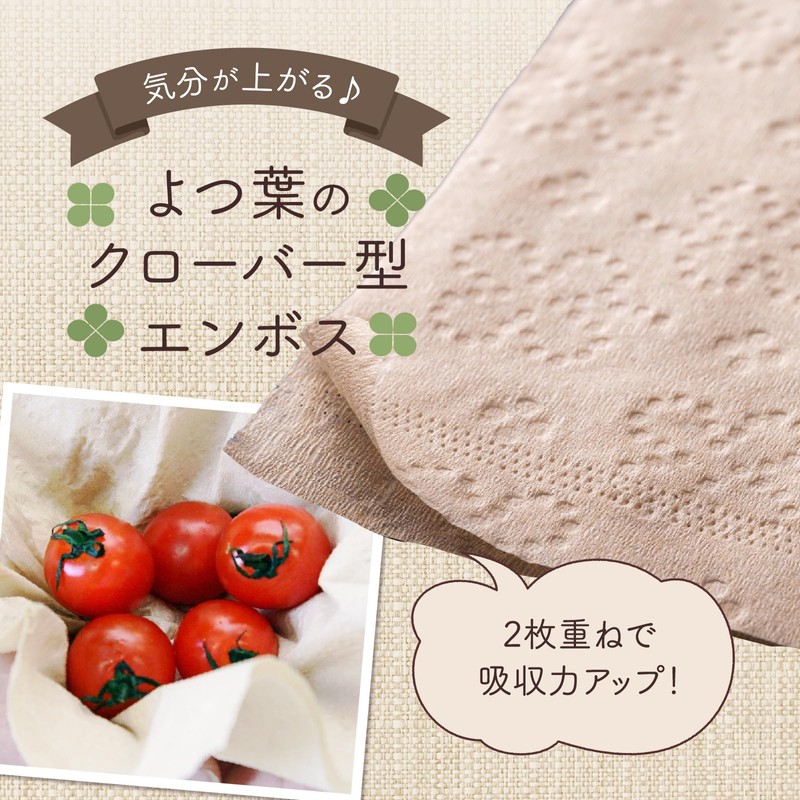 Toyo Unbleached Pure Pulp 100% Kitchen Paper Towels, Soft Type,