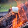 8 Pcs Roasting Sticks, Stainless Steel Roasting Sticks with Wooden