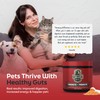 Probiotics for Cats & Dogs - 6 Billion CFU Prebiotic