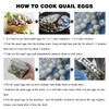YMJOINMX Manual Quail Egg Peeler Machine Quail Egg Sheller Household