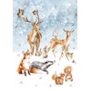 Wrendale Designs by Hannah Dale - A Winter Wonderland -