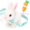 hehred Bunny Toys for Kids with Carrot, Interactive Plush Bunny