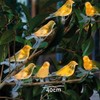 YZYOE 8 Packs of Solar Powered Bird Lights, Garden Decoration