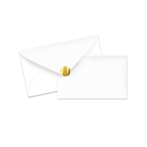 Holly Berry Gift Note Cards with Envelopes and Gold Seal -25pack Set