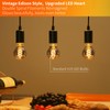 Decoaui Vintage Edison LED Light Bulbs A19, E26 Base, Dimmable