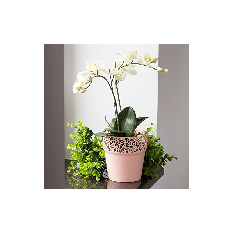 Prosper Plast dnat120–488u 12 x 12,2 cm Nature Blumentopf –