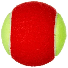 Wilson Tennisbälle Starter Play Green für Kinder und Jugendliche, Gelb, 4er Dose, WRT137400, 6.5