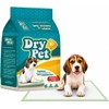 Dry Pet Tapete Entrenador para Perro de 30 Piezas