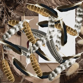 40Pcs Turkey Feathers for Crafting, Natural Pheasant Feathers Hat Feathers, 4 Style Mixed Craft Feathers Spotted Feathers for Floral Arrangements DIY Wedding Party Wedding Decorations, Craft Supplies
