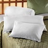Bucky 100% Buckwheat Filled Pillow Collection, Travel Size, 14x11, White
