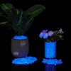 Glow in Dark Rocks,200Pcs Long Term Glowing Decorative Stone,Luminous Stones,Glow