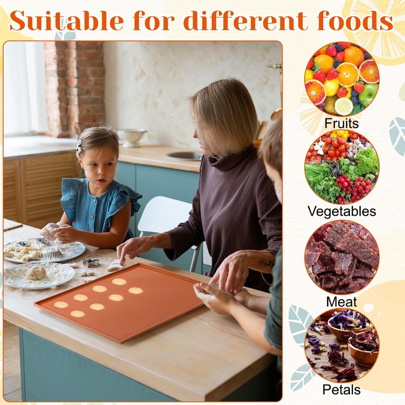 MAQUITA 6 PCS Dehydrator Trays with Scraper - Nonstick Silicone