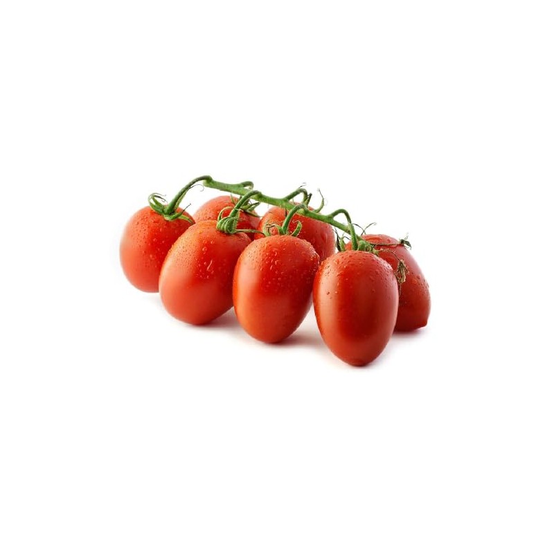 Tomato Santa Victoria F1-6X Vegetable/Fruit Seeds - Exceptional Flavour -
