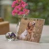 Snap H8001H10C Horizontal Acrylic Frame, 5" x 7", 12 Pieces