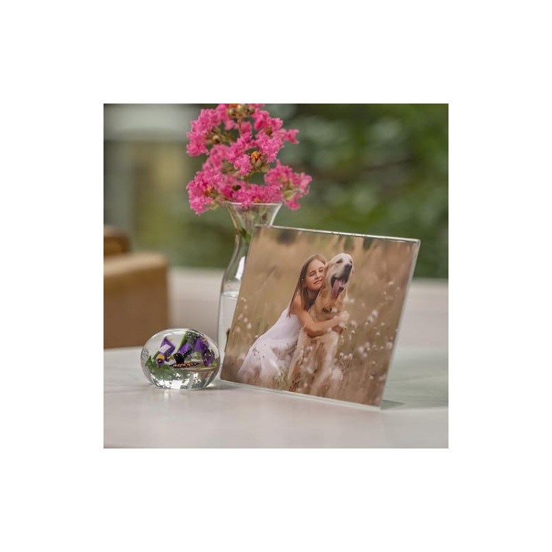Snap H8001H10C Horizontal Acrylic Frame, 5" x 7", 12 Pieces