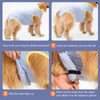 Avont Dog Surgery Recovery Suit, Post-Spay/Neuter Onesie for Female/Male Puppies,