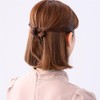 Complex Biz Double Crystal Mesh Whip Clips 2pcs Set (Light