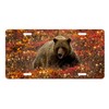 Vanity Aluminum Front License Plate (Bear Sparkles)