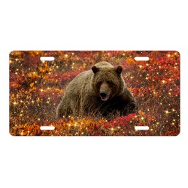 Vanity Aluminum Front License Plate (Bear Sparkles)