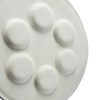 The Dreidel Company Ceramic Seder Plate Renaissance Design Passover Plate,