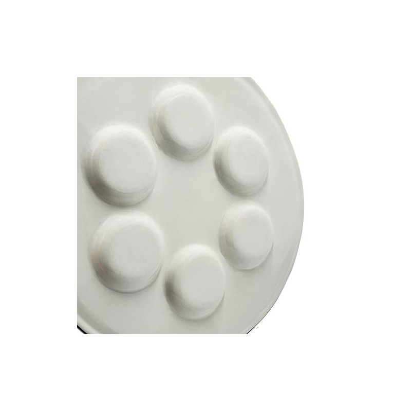 The Dreidel Company Ceramic Seder Plate Renaissance Design Passover Plate,