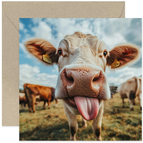 Fun Birthday Cards for Him - Funny Cow Licking Photo