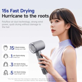 Hair Dryer, Professional high Speed Ionic Hair Care for Pets (Cats and Dogs), Women and Men, Fast Drying, Must Have for Home, Office, Outdoor, Travel, Low Noise Hair Dryer, Gifts (Gray)