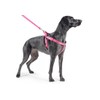 Ancol Padded Nylon Dog harness Raspberry Pink XL 88-120 cm