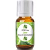 Diffuse Essential Oils 10ml - Lime Essential Oil - 0.33