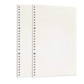 Zelten 2 Pack B5 120 Sheets/240 Pages Lined Loose Leaf Punched Paper Refills Paper for 26 Hole Binder Personal Organizer Diary Notebook Refillable Planner