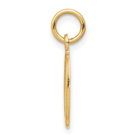 10k Yellow Gold Solid Solid Satin Polished St. Christopher Charm Pendant