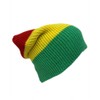 The Hatter Trendy Warm Soft Stretch Long Beanie (Rasta)