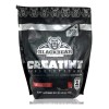 Creatina Monohidratada 1 Kg Blackbear 200 Servicios Bolsa Sabor NA