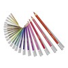STABILO Chalk-Pastel Pencil CarbOthello - Pack of 12 - Caput