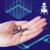 HAXIHA 250 Pieces 10 Values Micro Momentary Tactile Push Button