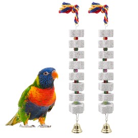 2 Pack Large Bird Chewing Toy, Parrot Beak Grinding Calcium Stone with Bells, Bird Cage Accessories, Cage Toys for Cockatiel Parakeet Parrot Budgies Rat Hamster Chinchilla Rabbit Bunny African Grey