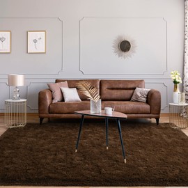 Jelymark Super Soft Shaggy Rug for Bedroom, 8x10 Feet Fluffy Carpet for Living Room, Fuzzy Indoor Plush Area Rug for Home Decor, Furry Floor Rugs for Dorm, Kids Nursery Rug for Girls, Brown